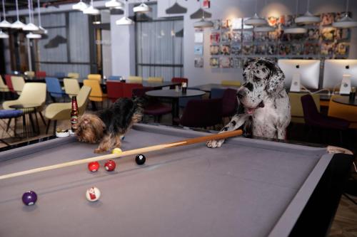 link hotel and hub by dan hotels