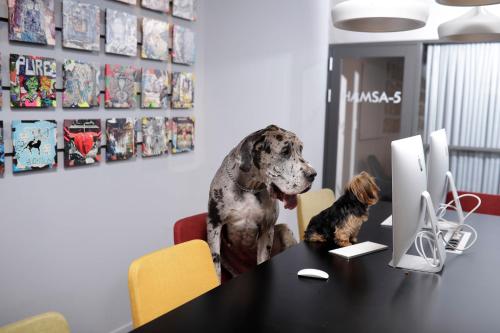 link hotel and hub by dan hotels