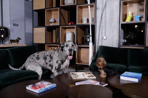 link hotel and hub by dan hotels