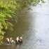 mystic river resort
