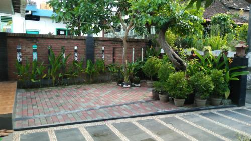 ngampilan backpacker hostel