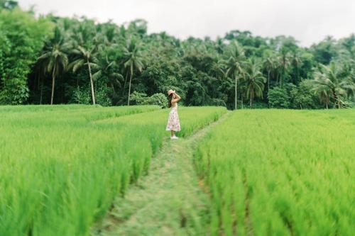 samkara restaurant and garden resort