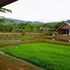 nok chan mee na
