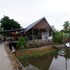 nok chan mee na