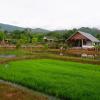 nok chan mee na