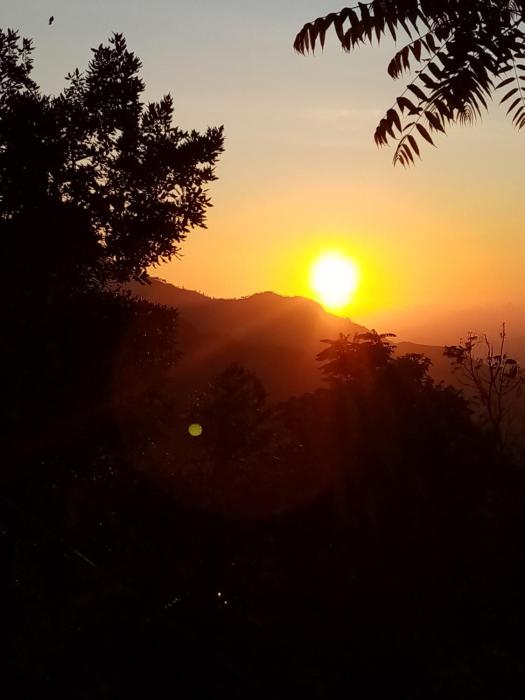 ella ostella cottage