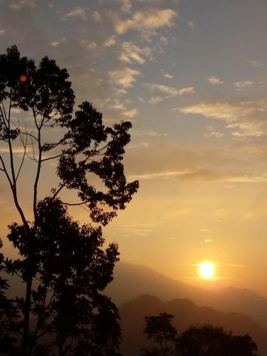 ella ostella cottage