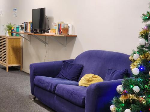 newton lodge auckland hostel