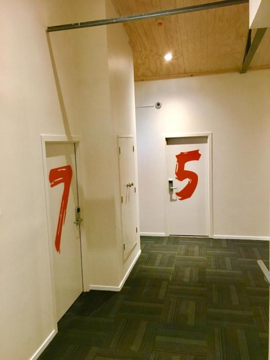 metro adventurer backpackers