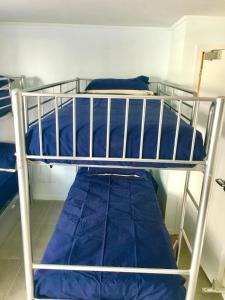 metro adventurer backpackers