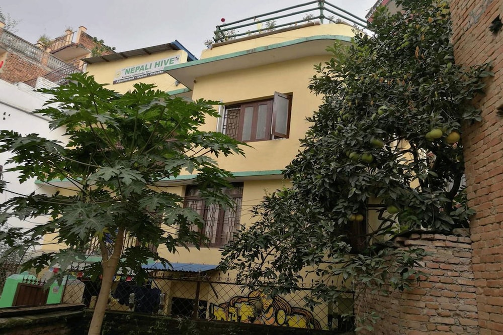 the nepali hive