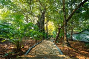 la la land resort by spicy mango