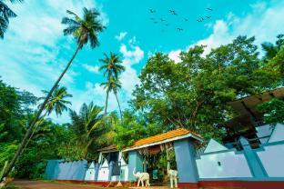 la la land resort by spicy mango