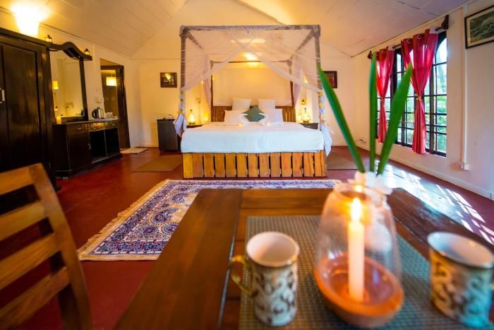 la la land resort by spicy mango