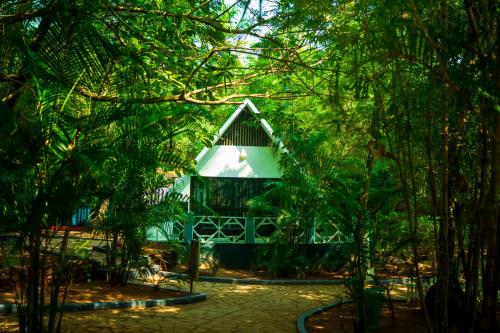 la la land resort by spicy mango