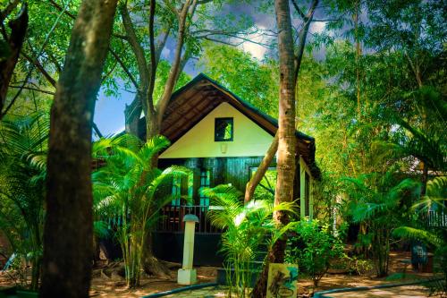 la la land resort by spicy mango