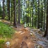 amenity hotel and resort spindleruv mlyn