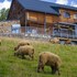 amenity hotel and resort spindleruv mlyn
