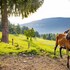 amenity hotel and resort spindleruv mlyn