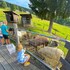 amenity hotel and resort spindleruv mlyn