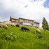 amenity hotel and resort spindleruv mlyn
