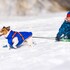 spindleruv mlyn