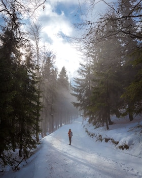 amenity hotel and resort spindleruv mlyn
