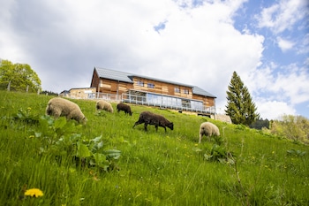 amenity hotel and resort spindleruv mlyn