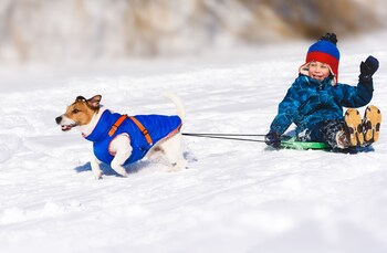 spindleruv mlyn