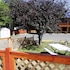 country motor inn