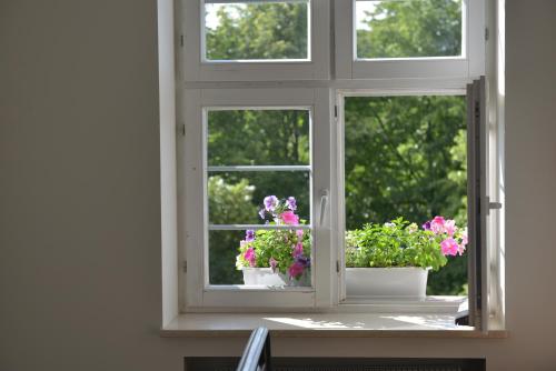 five point hostel and apartments