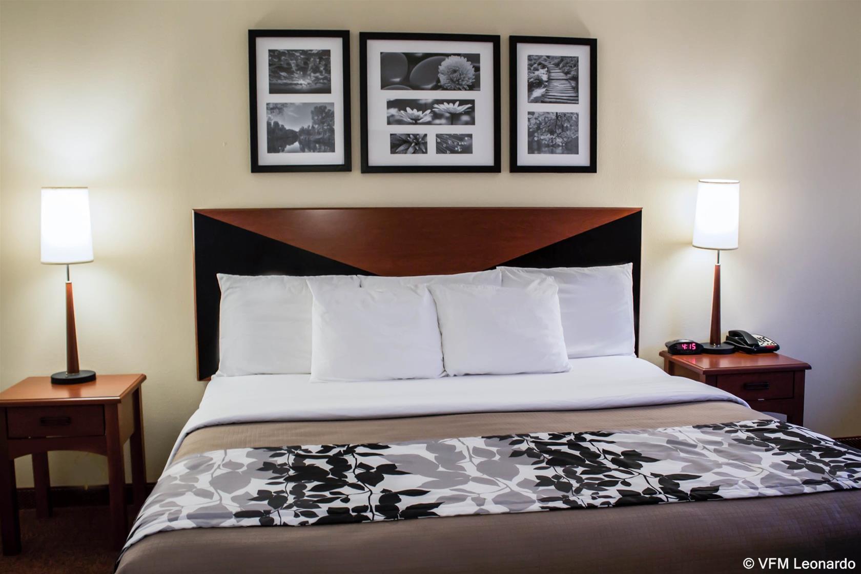 quality inn and suites