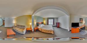 quality inn and suites