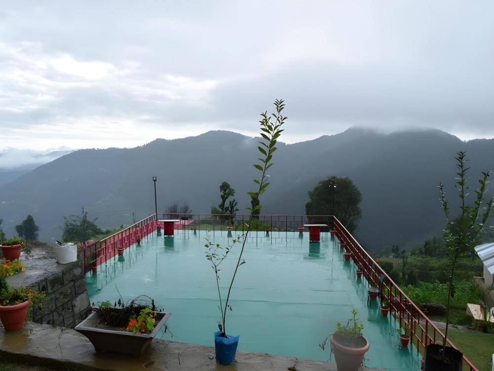 nature nest eco resort