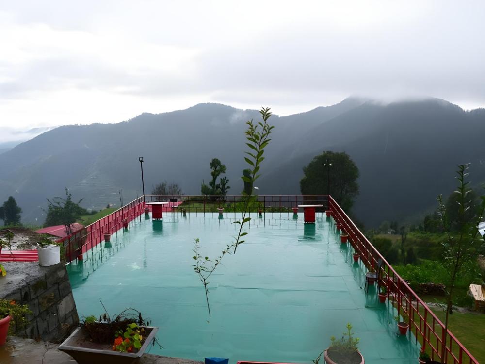 nature nest eco resort