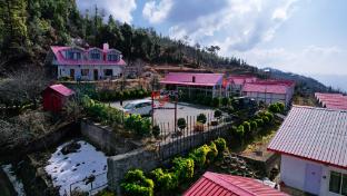 nature nest eco resort