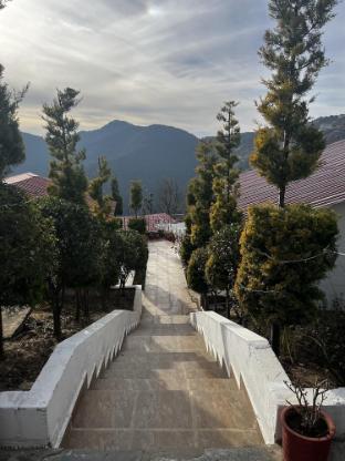 nature nest eco resort