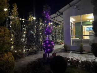 nature nest eco resort