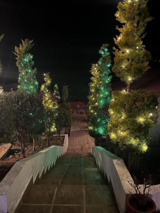 nature nest eco resort