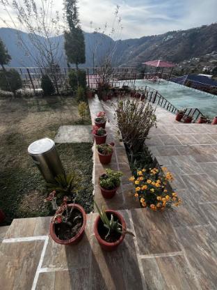 nature nest eco resort