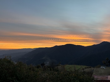 nature nest eco resort