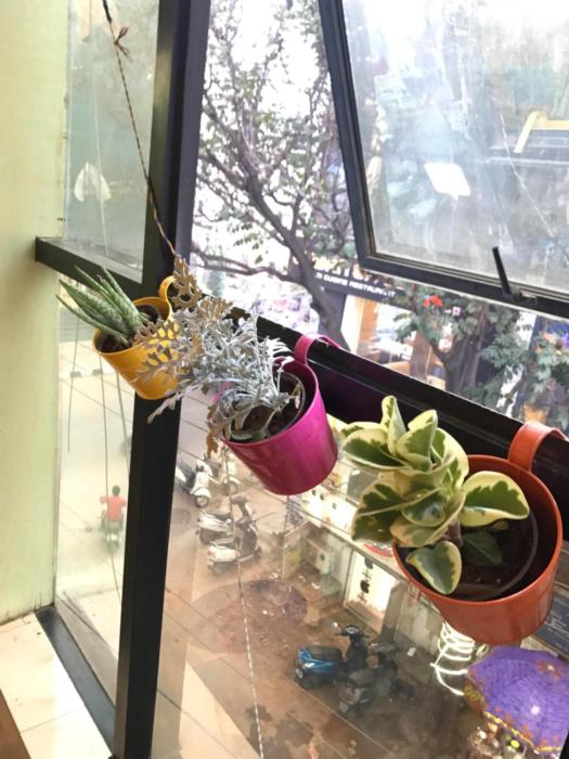 the little blue window hostel