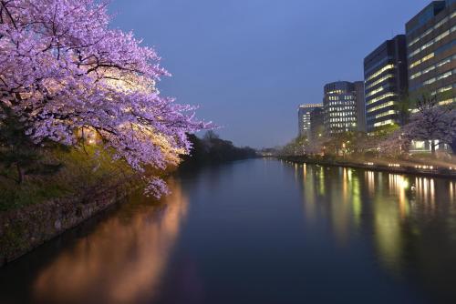 hotel new gaea domemae