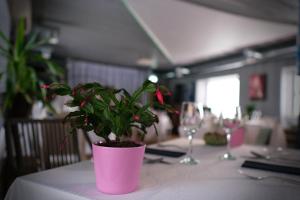 vergi sadam and restoran wirkes