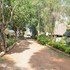 busia