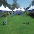 busia