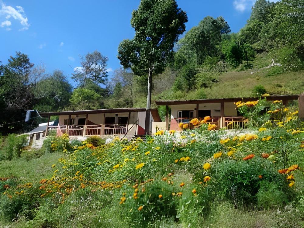 solid rock lodge and restaurant