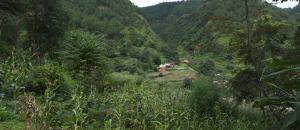 solid rock lodge and restaurant