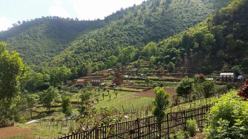 solid rock lodge and restaurant