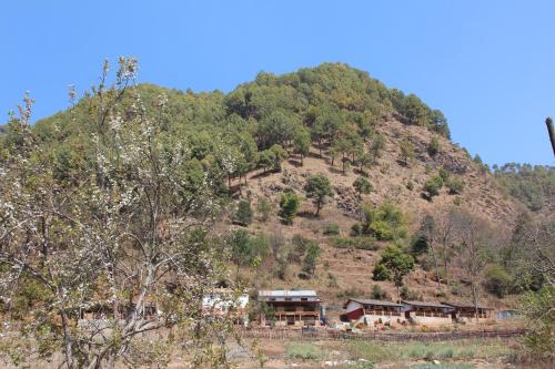 solid rock lodge and restaurant